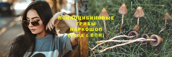 крисы Нягань