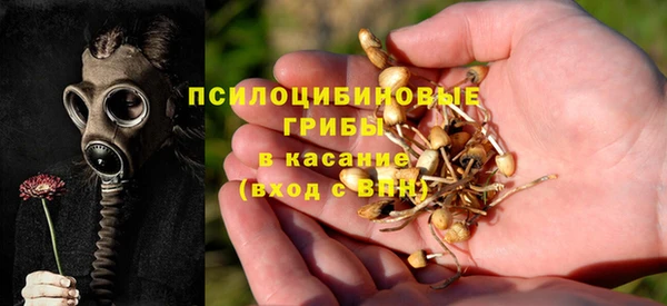 тгк Нязепетровск