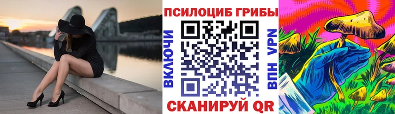 Псилоцибиновые грибы Psilocybine cubensis  Инсар 