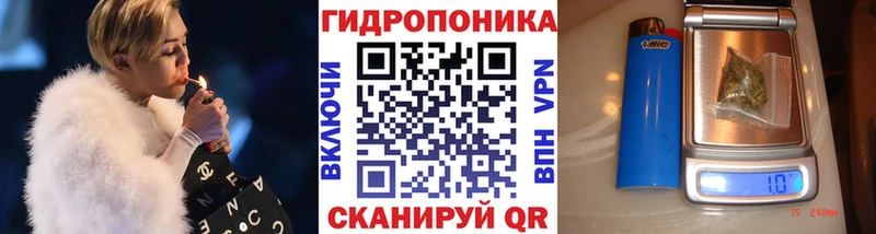 Бошки Шишки VHQ  Инсар 